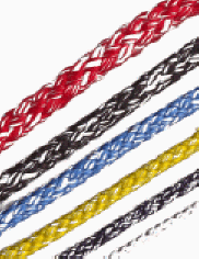 gottifrediswiftcord